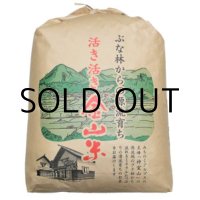 ６年山形県産 【はえぬき玄米25kg or 精米22.5kg】検査済み１等米　色彩選別済み　活き活きミネラル米